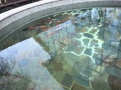 -太白山御龙湾温泉