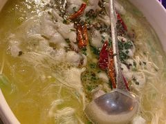 招牌酸菜鱼（必点）-爱啤精酿·民谣酒馆(滨江店)