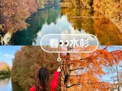 -上海海湾国家森林公园