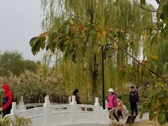 -水西公园