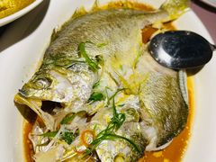 鸡汁蒸黄鱼-江南赋(内蒙古大厦店)