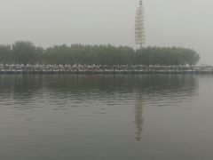 -白洋淀景区