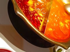 -九鼎轩脆毛肚火锅(三钢里店)