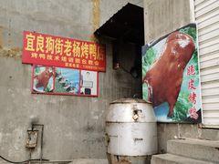 -宜良狗街老杨烤鸭店
