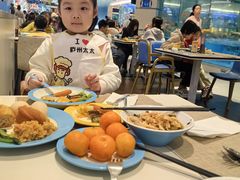 -帝企鹅自助餐厅•儿童岛•真企鹅(长隆企鹅酒店)