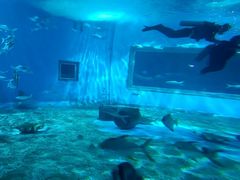 -北戴河圣蓝海洋公园