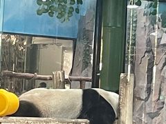 -栾川竹海野生动物园