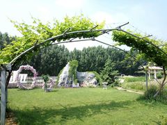 -白鹿原葡萄主题公园