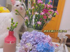 -山姆会员商店(杨桥西路店)
