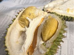 -油麻地果栏