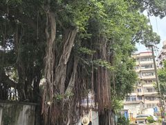 -红叶蛋糕(温泉店)