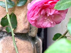 -千峡湖生态旅游度假区