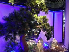 -绿茶餐厅(成都大悦城店)