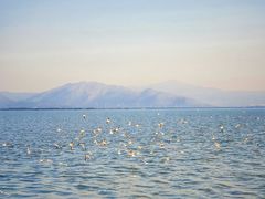 -深圳湾公园(南山区)