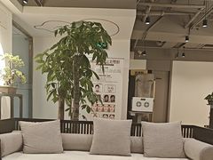 -席仁堂推拿按摩脊柱调理(世纪科贸大厦店)