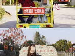 -中国西峡恐龙遗迹园