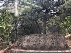 -北京鹫峰国家森林公园