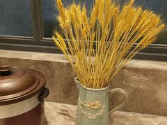 -比格比萨自助(万柳华联店)