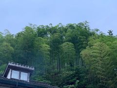 -WILDS 野有食(碧坞店)