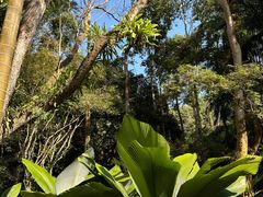 -中国科学院西双版纳热带植物园