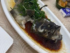 -湛江渔港·大排档(乐园路总店)