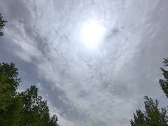 -黄海国家森林公园