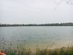 -泗洪洪泽湖湿地景区
