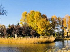 -安德鲁户外烧烤帐篷营地(马泉营店)