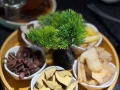 -一善菌·云南菌汤·云南菜(银泰城店)