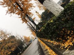 -四川大学(望江校区)