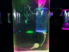 -苏州海洋馆