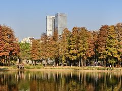 -四海公园(南山区)