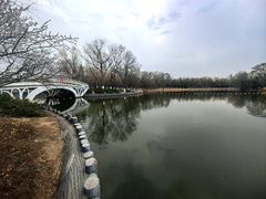 -大兴滨河森林公园