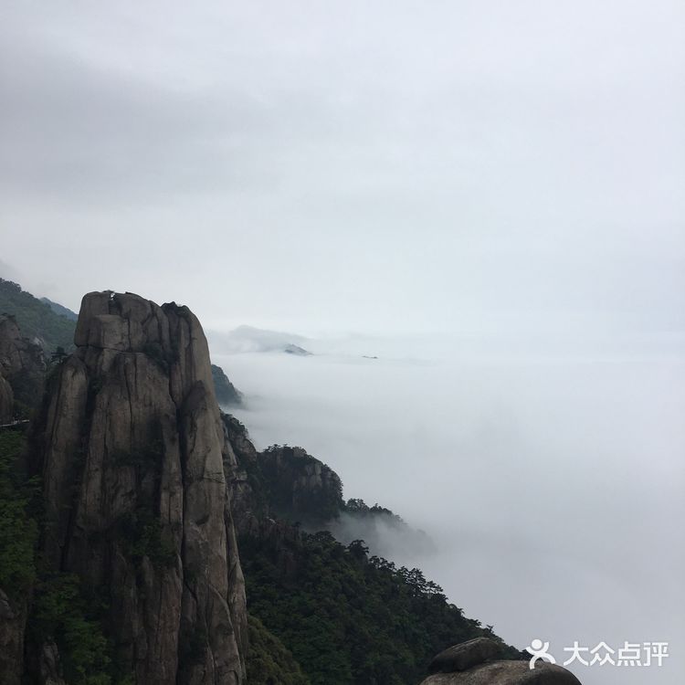 人间四月芳菲尽 花台杜鹃始盛开