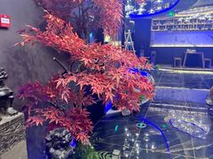 -大桶大足浴(瞿溪路店)