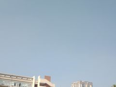 -广州市越秀区育才实验学校