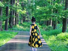 -黄海国家森林公园