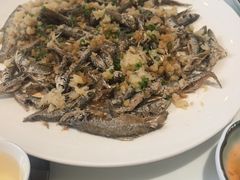 -有心德(麦地店)