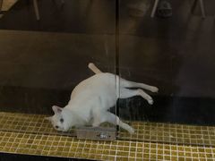 -Doors独立剧情密室(东门分店)