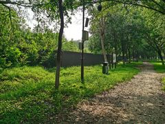 -汉石桥湿地公园