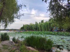 -长春市南湖公园