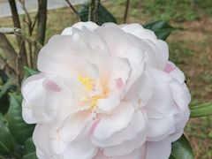 -珠海圆明新园