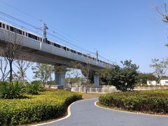 -宝安西湾红树林湿地公园