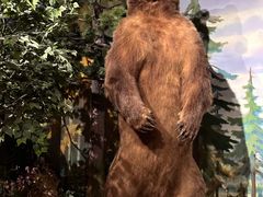 -陕西自然博物馆