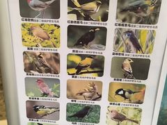 -兰岛广场(白沙路店)