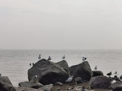 -深圳湾公园(南山区)