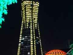 -运河游船(武林门码头)