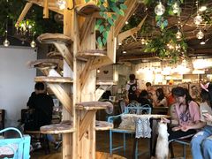 大堂-共舞时光猫咖·狗咖(新街口店)