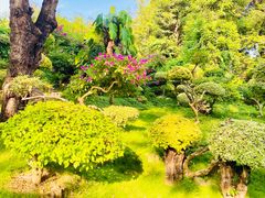 -西双版纳总佛寺