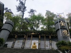 -大金鹰园